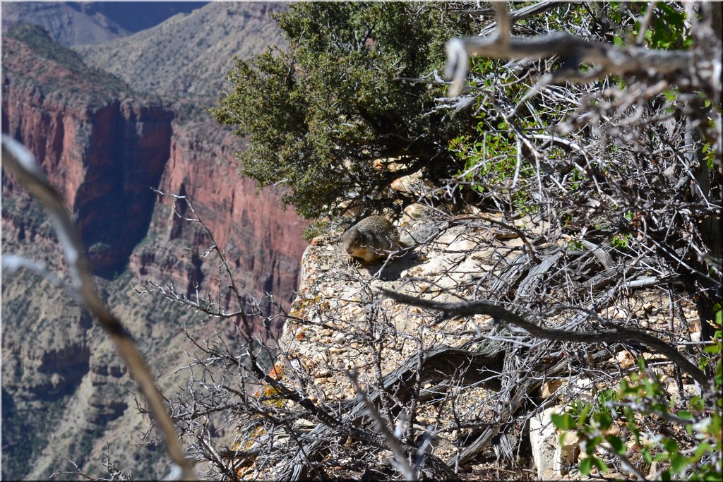 130523-USA-1GrandCanyon-0479.JPG