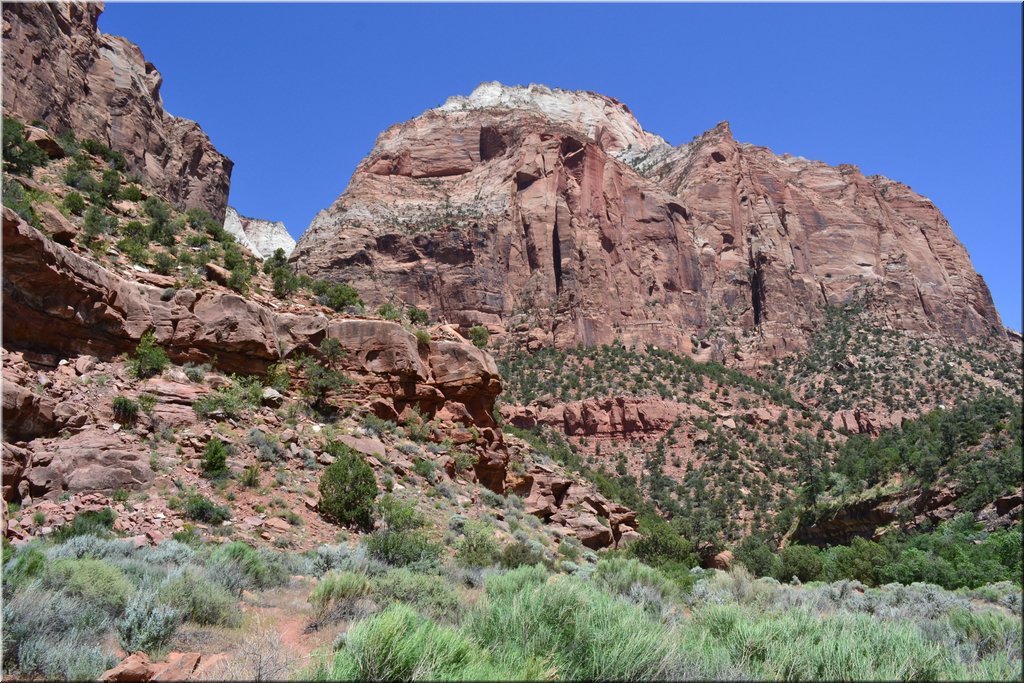 130523-USA-2Zion-0490.JPG