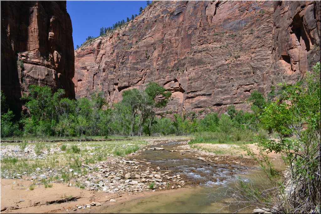 130523-USA-2Zion-0491.JPG