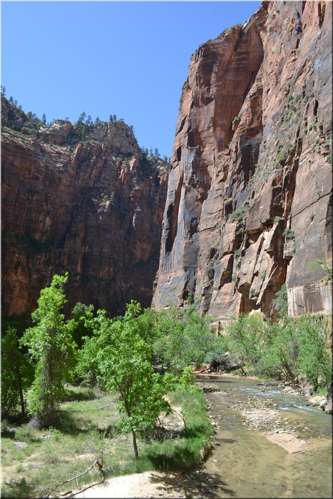 130523-USA-2Zion-0495.JPG