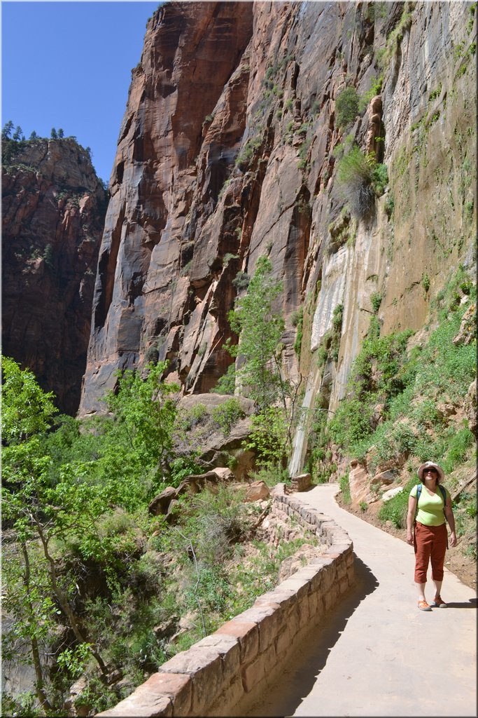 130523-USA-2Zion-0499.JPG