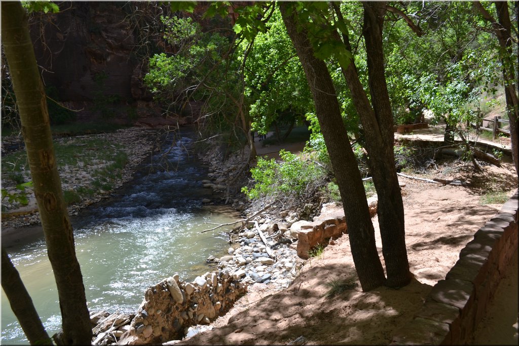 130523-USA-2Zion-0504.JPG