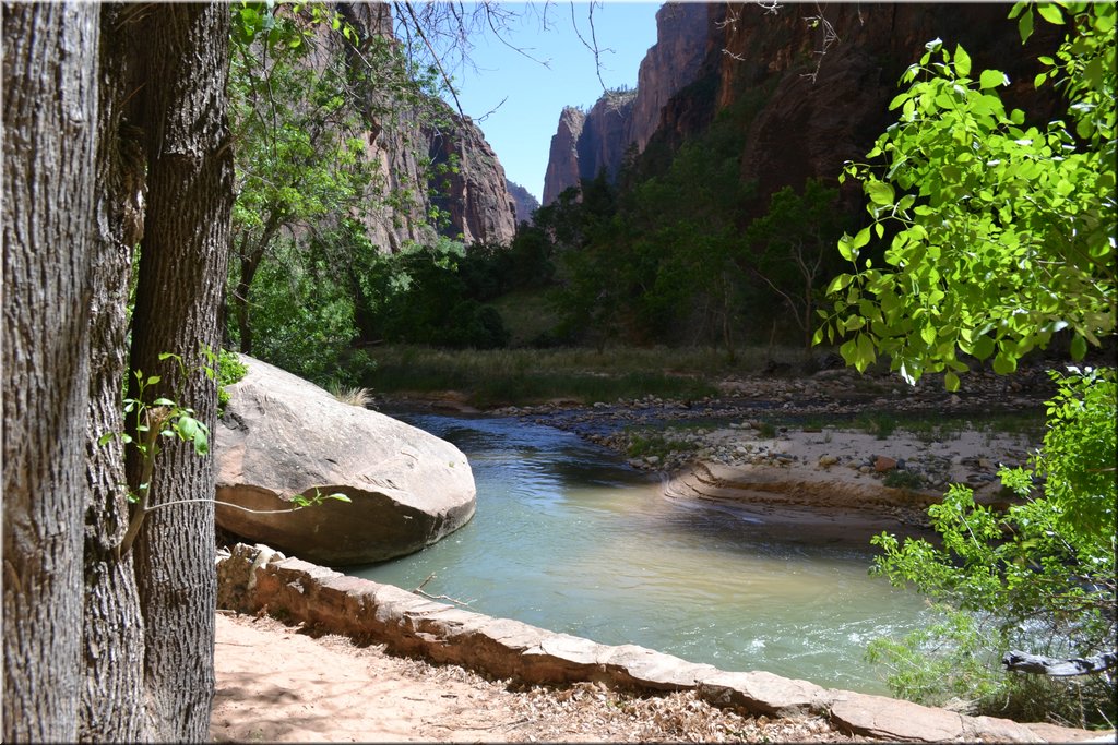 130523-USA-2Zion-0506.JPG