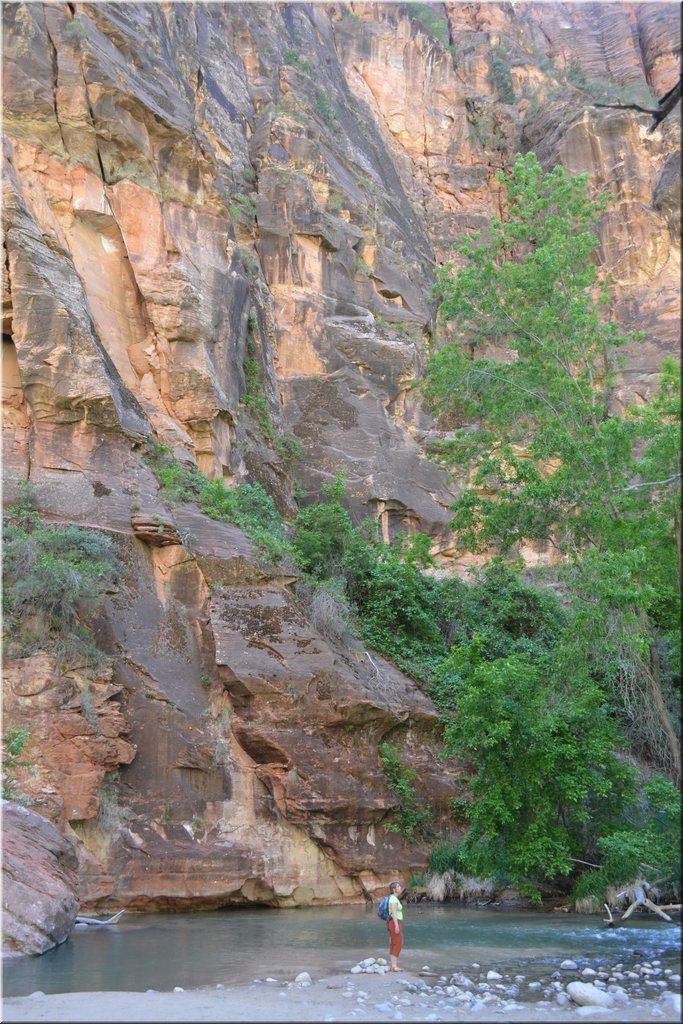 130523-USA-2Zion-0509.JPG