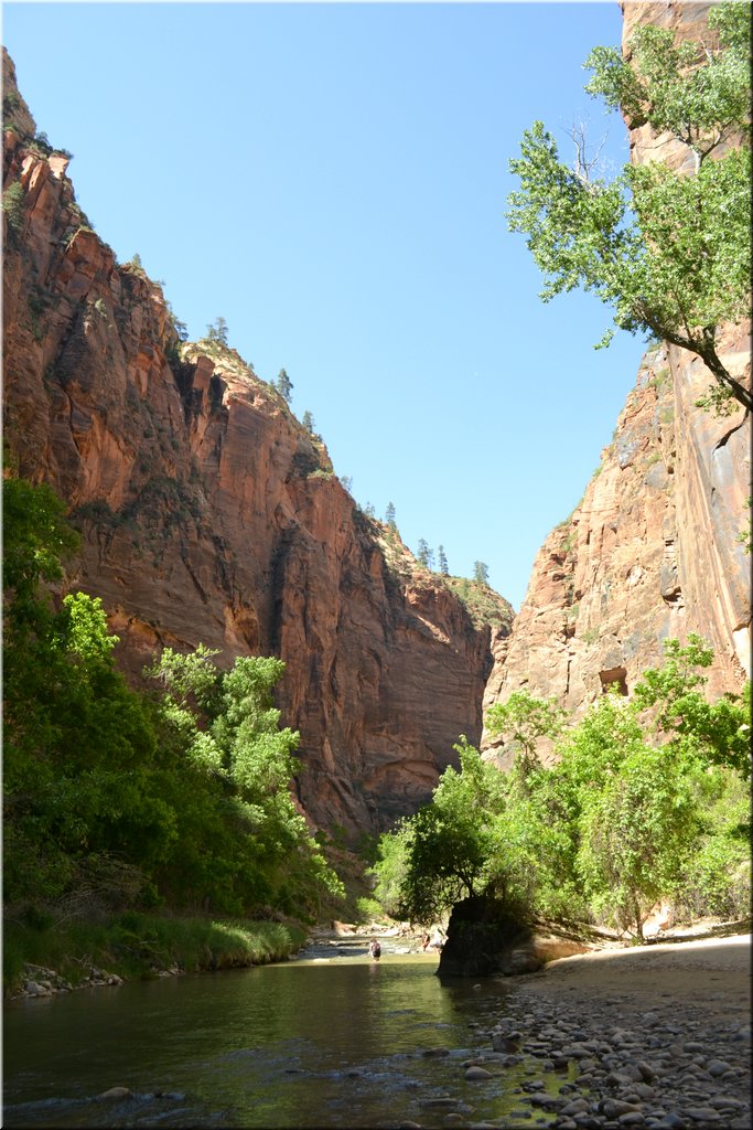 130523-USA-2Zion-0512.JPG