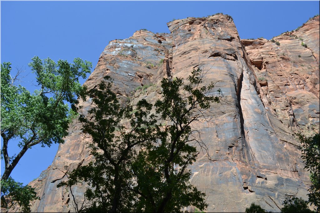 130523-USA-2Zion-0518.JPG