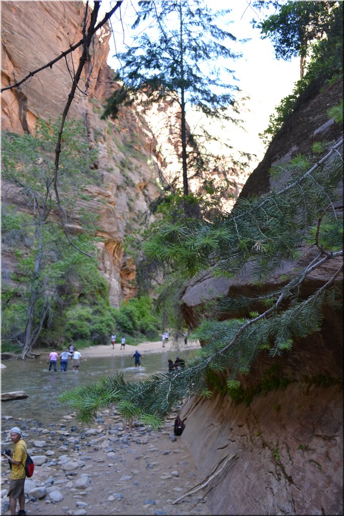 130523-USA-2Zion-0547.JPG