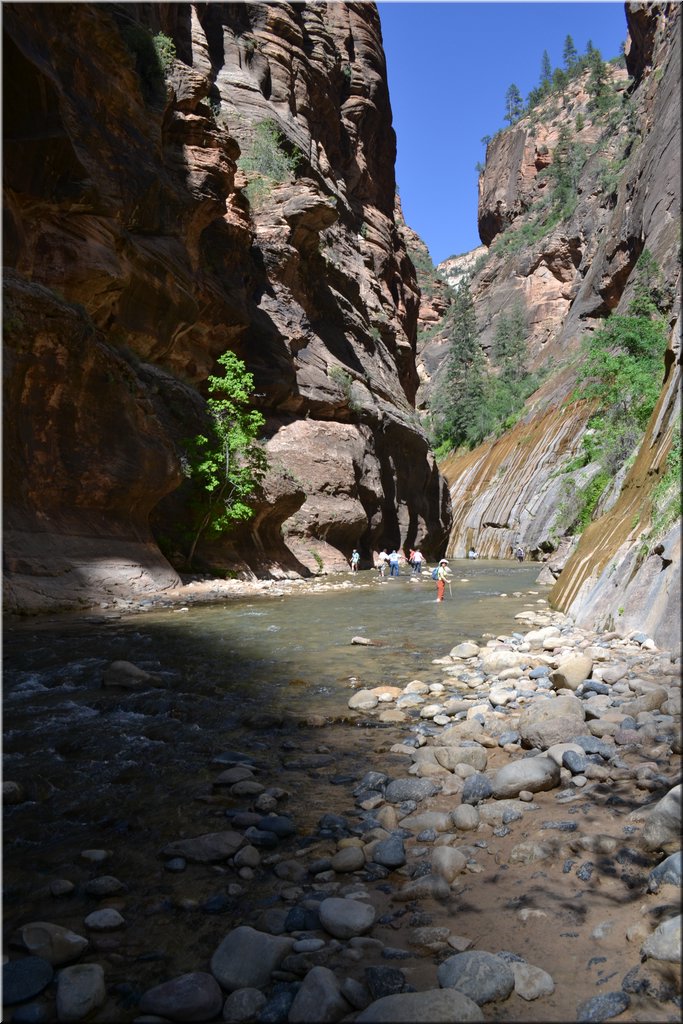 130523-USA-2Zion-0556.JPG