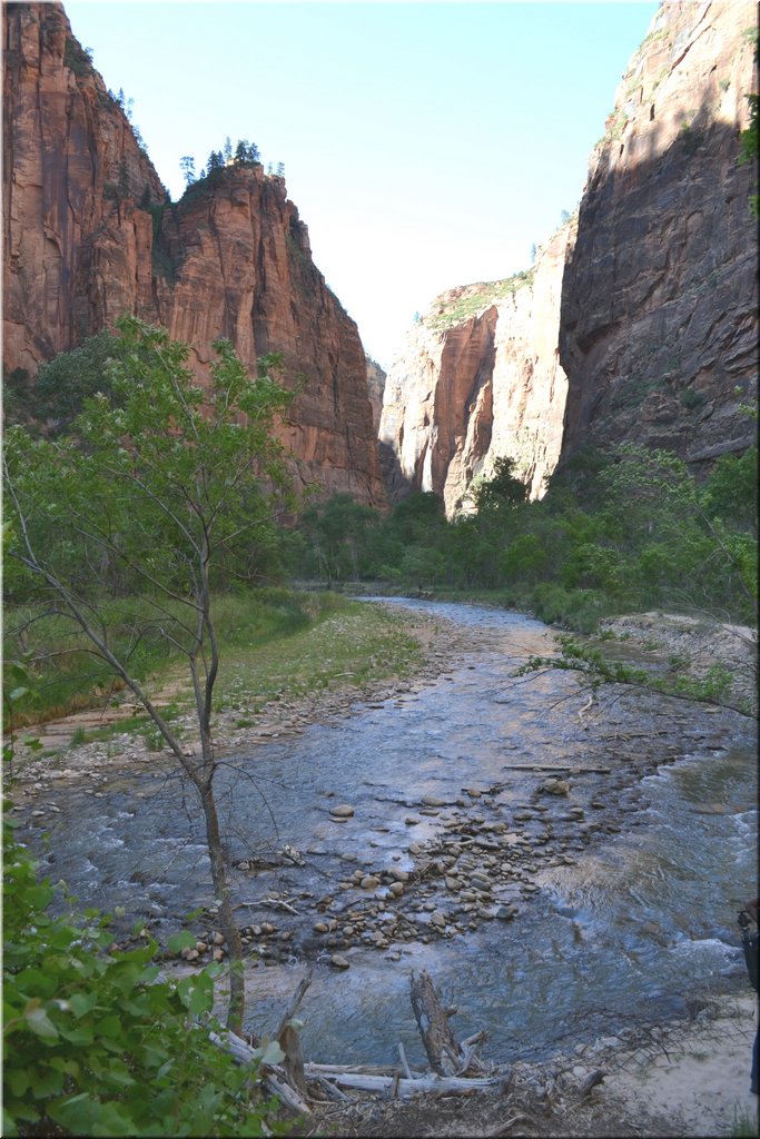 130523-USA-2Zion-0567.JPG