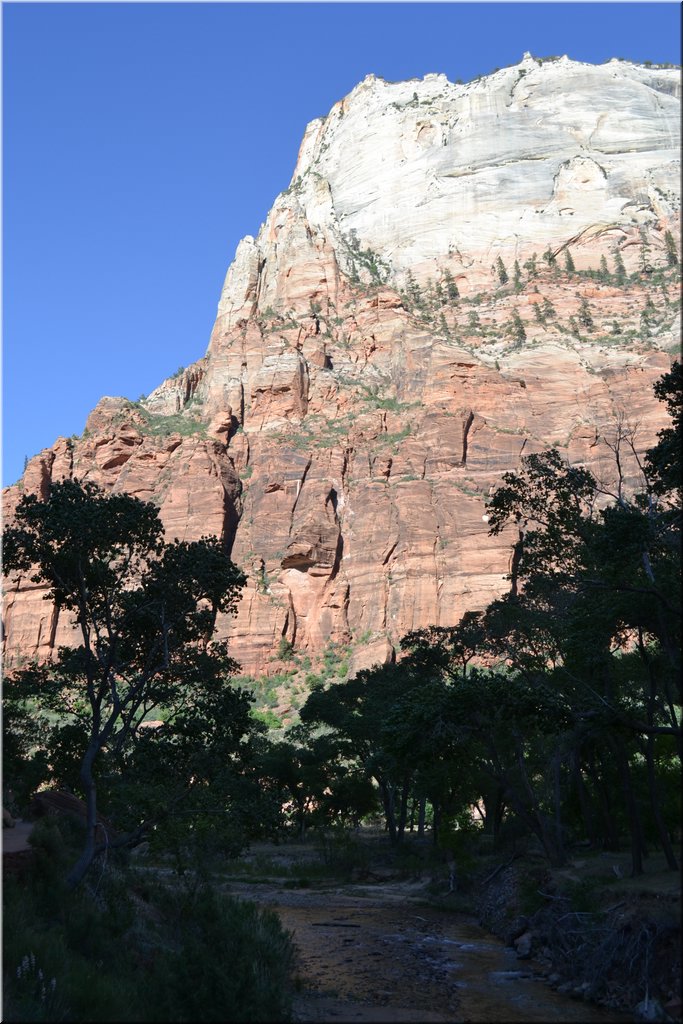 130523-USA-2Zion-0574.JPG