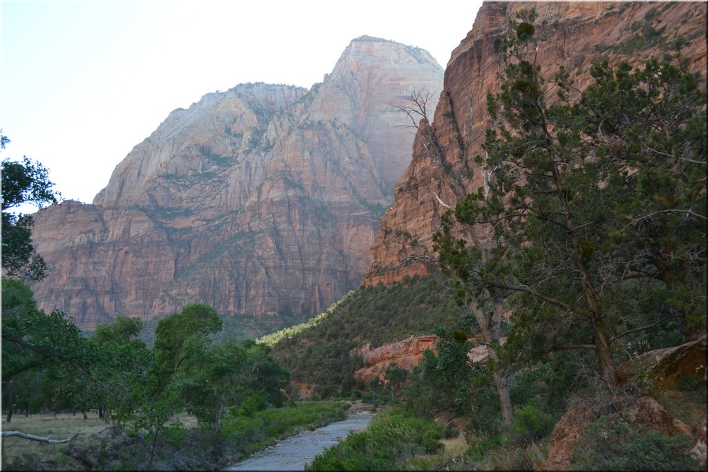 130523-USA-2Zion-0575.JPG