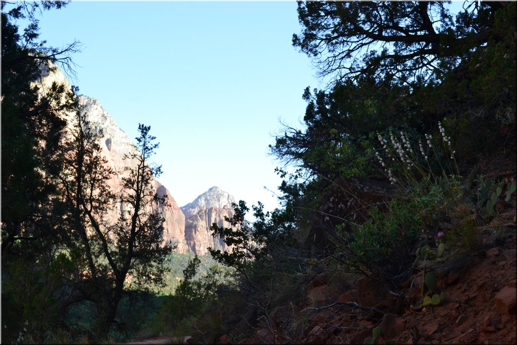 130523-USA-2Zion-0589.JPG