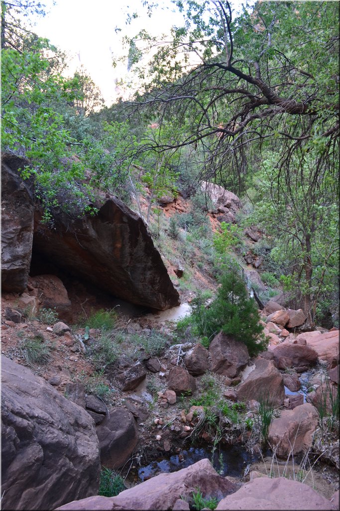 130523-USA-2Zion-0596.JPG