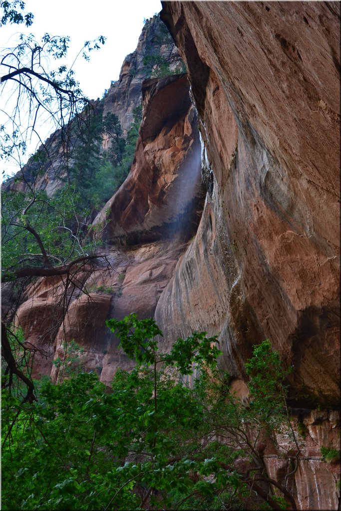 130523-USA-2Zion-0606.JPG