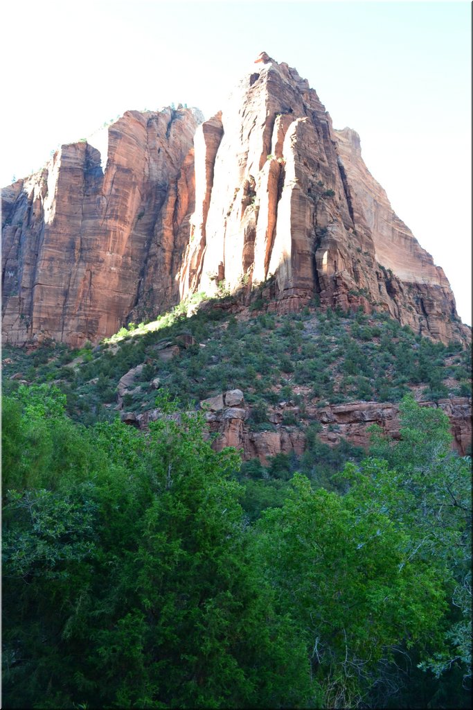 130523-USA-2Zion-0610.JPG