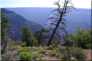 130523-USA-1GrandCanyon-0349.JPG