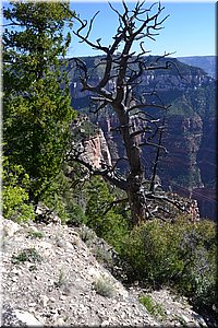 130523-USA-1GrandCanyon-0462.JPG