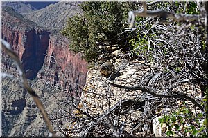 130523-USA-1GrandCanyon-0479.JPG