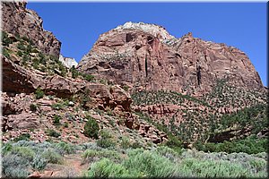 130523-USA-2Zion-0490.JPG