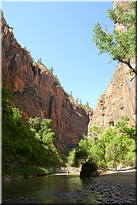 130523-USA-2Zion-0512.JPG