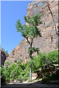 130523-USA-2Zion-0514.JPG