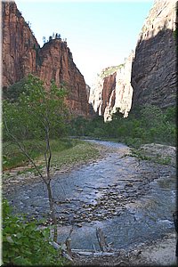 130523-USA-2Zion-0567.JPG