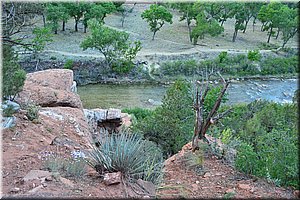 130523-USA-2Zion-0579.JPG