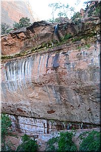 130523-USA-2Zion-0600.JPG