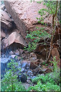 130523-USA-2Zion-0603.JPG