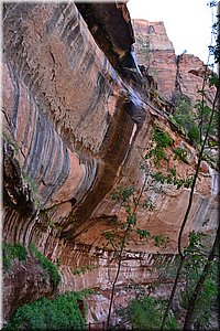 130523-USA-2Zion-0609.JPG