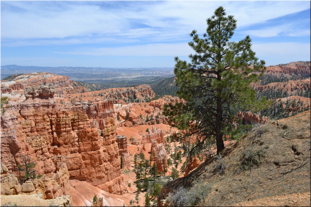 130524-USA-BryceCanyon-0647.JPG