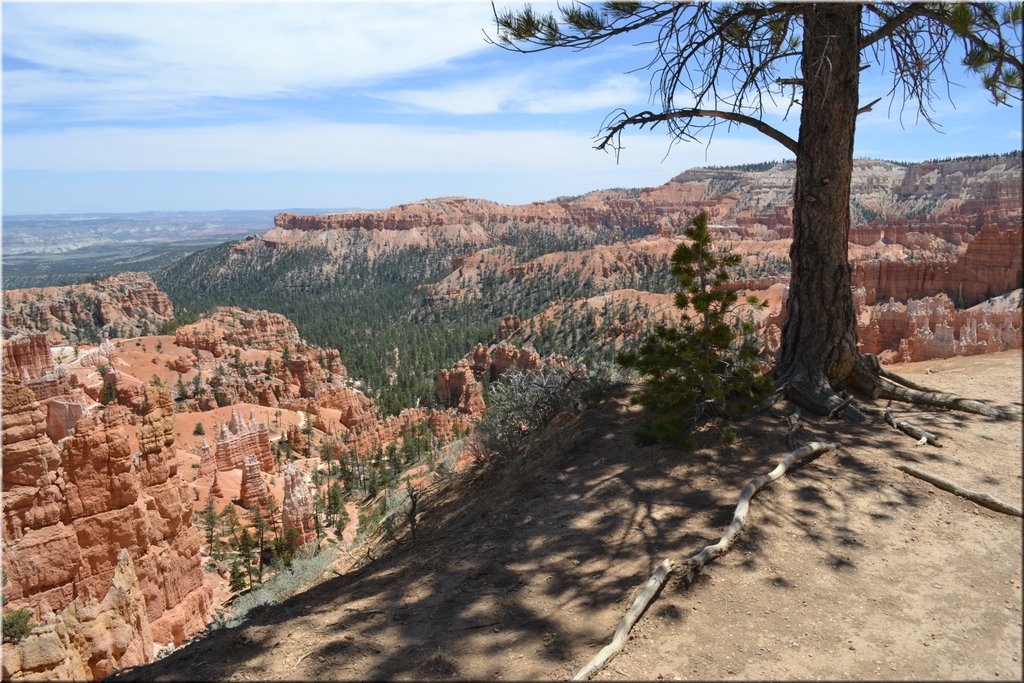 130524-USA-BryceCanyon-0660.JPG