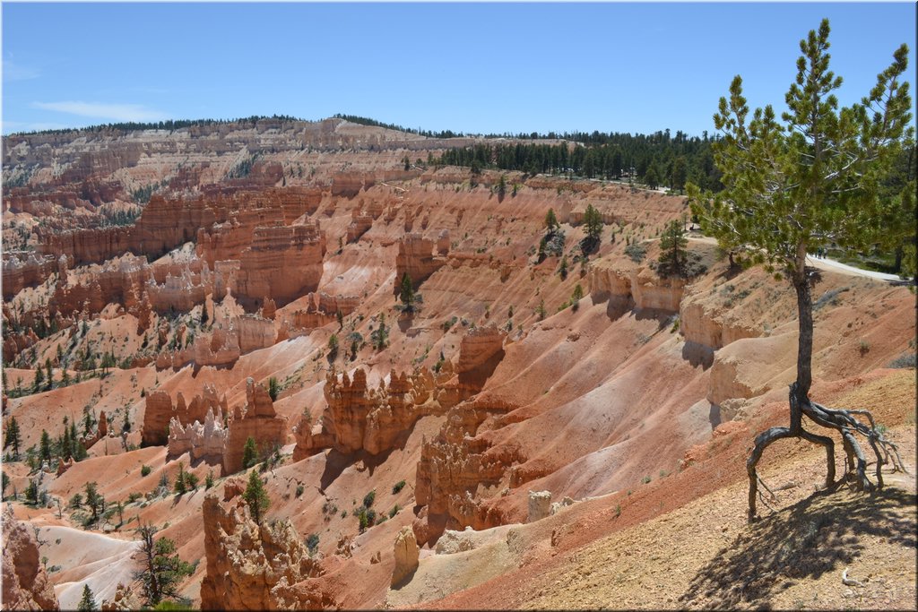 130524-USA-BryceCanyon-0662.JPG