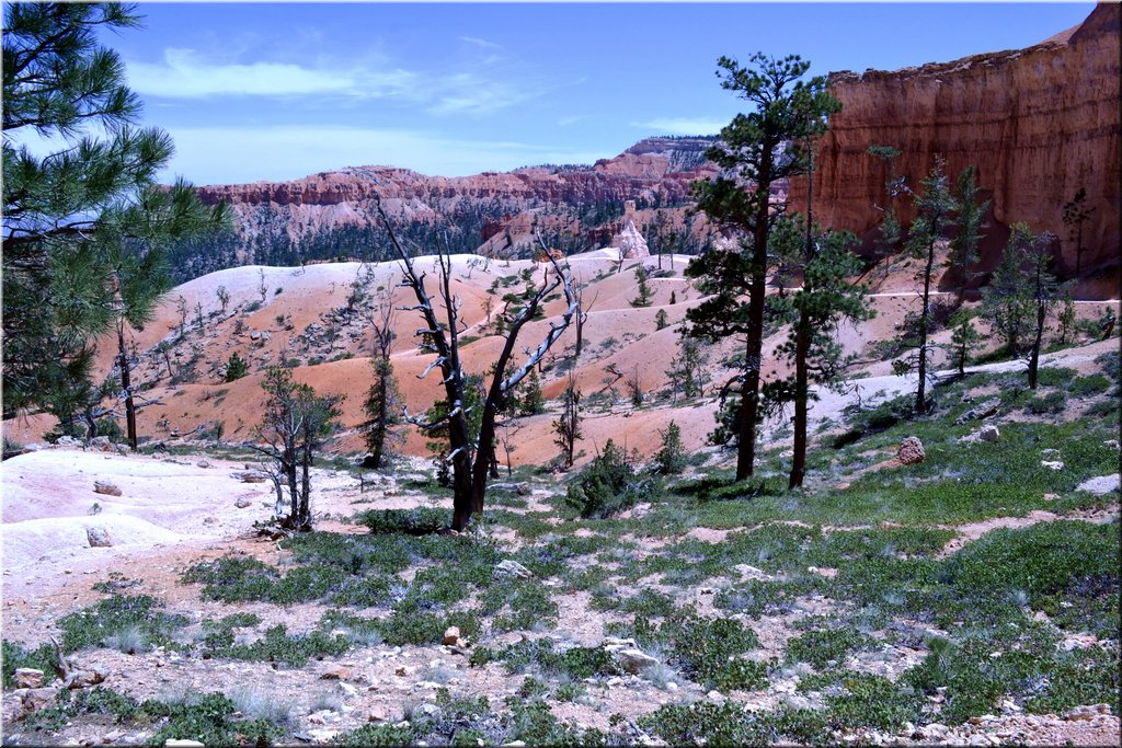 130524-USA-BryceCanyon-0705_exposure.JPG