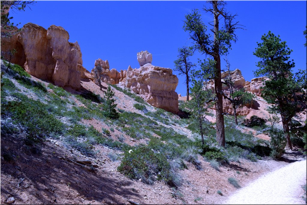 130524-USA-BryceCanyon-0710_exposure.JPG