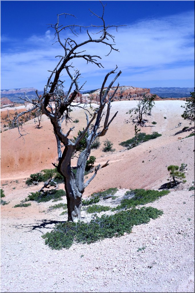 130524-USA-BryceCanyon-0723_exposure.JPG