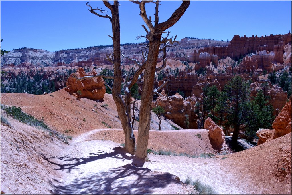 130524-USA-BryceCanyon-0735_exposure.JPG