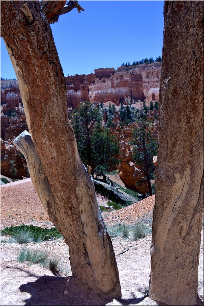 130524-USA-BryceCanyon-0736_exposure.JPG