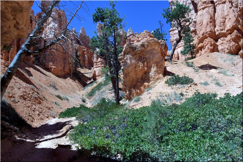 130524-USA-BryceCanyon-0755_exposure.JPG