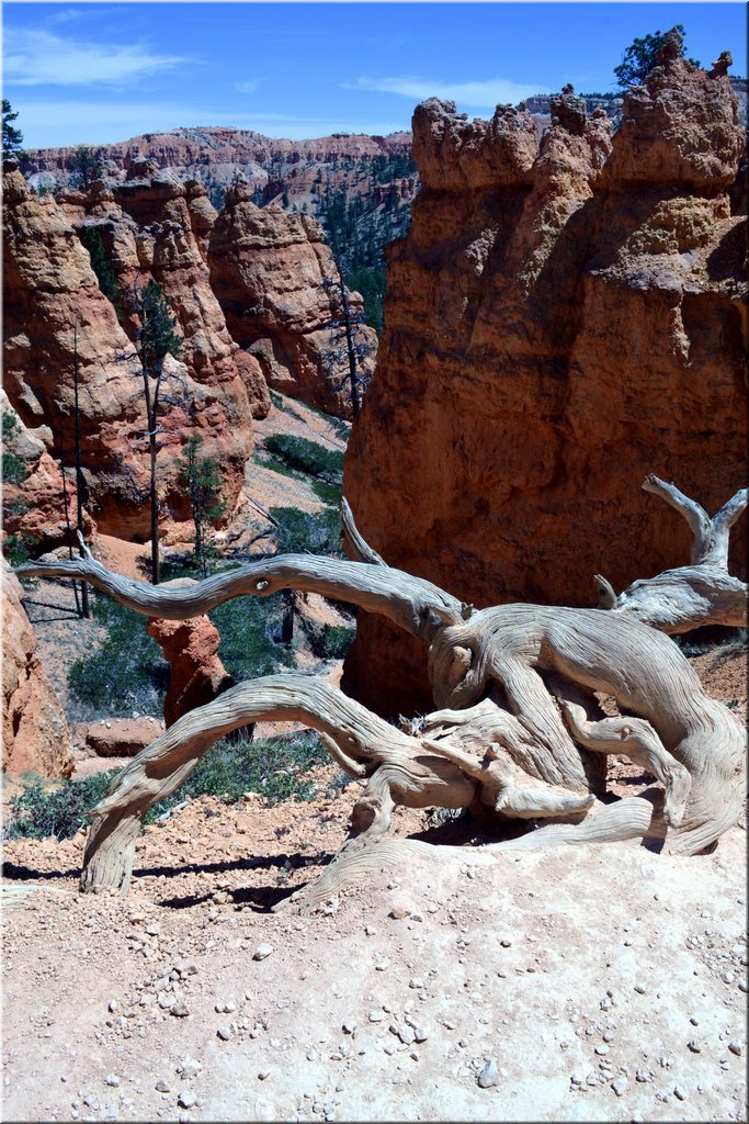 130524-USA-BryceCanyon-0764_exposure.JPG