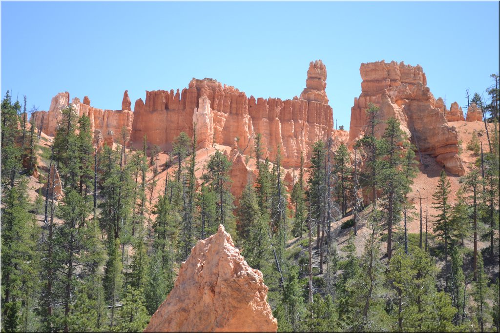 130524-USA-BryceCanyon-0777.JPG