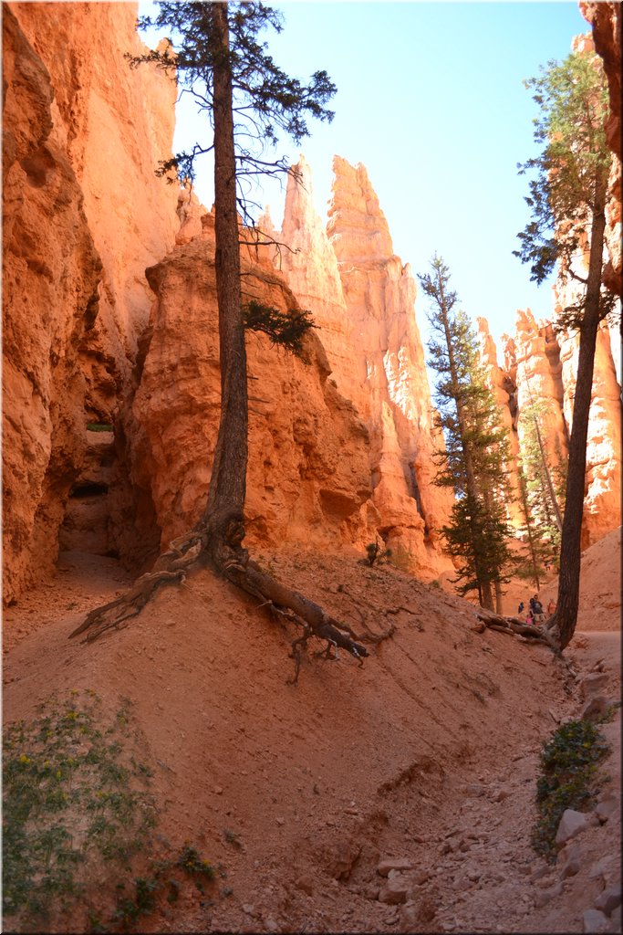 130524-USA-BryceCanyon-0786.JPG