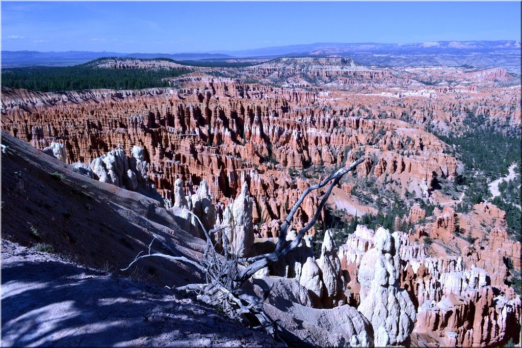 130524-USA-BryceCanyon-0848_exposure.JPG