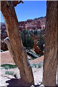 130524-USA-BryceCanyon-0736_exposure.JPG