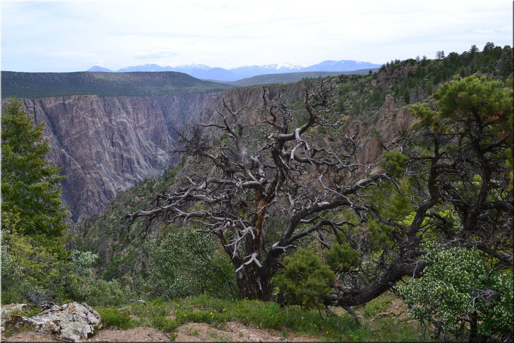 130528-USA-1BlackCanyon-1434.JPG