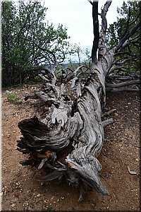 130528-USA-1BlackCanyon-1441.JPG