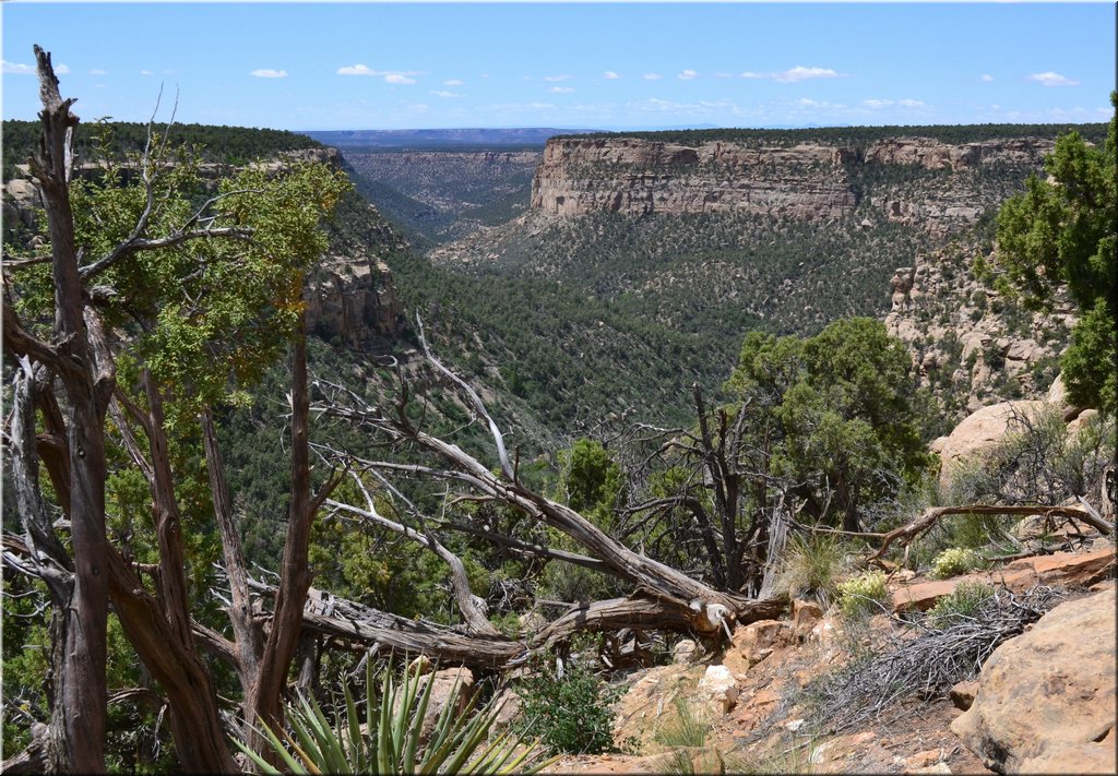 130529-USA-MesaVerde-1539rc.jpg