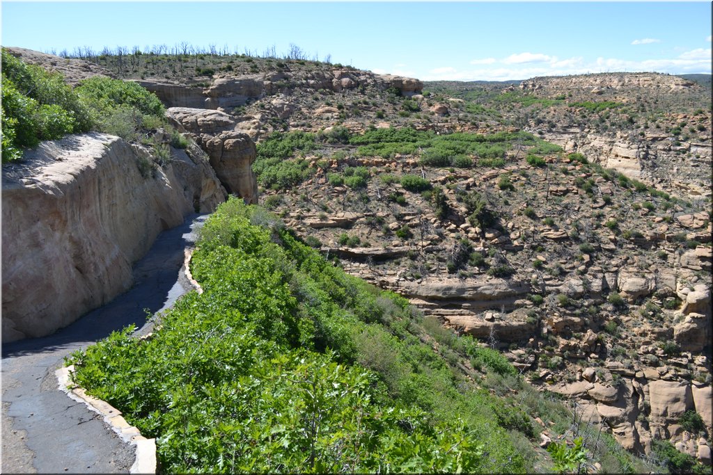 130529-USA-MesaVerde-1591.JPG