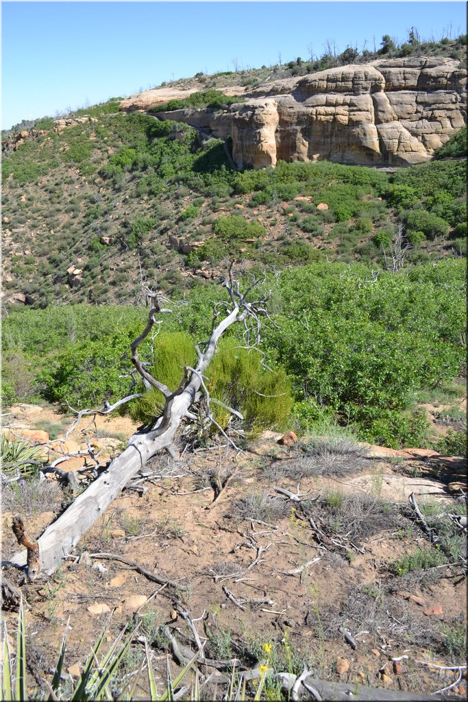 130529-USA-MesaVerde-1621.JPG