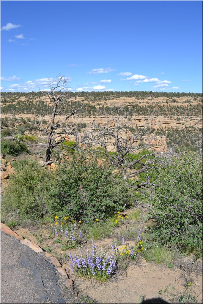 130529-USA-MesaVerde-1626.JPG